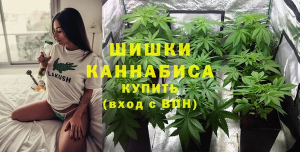 крисы Щучье