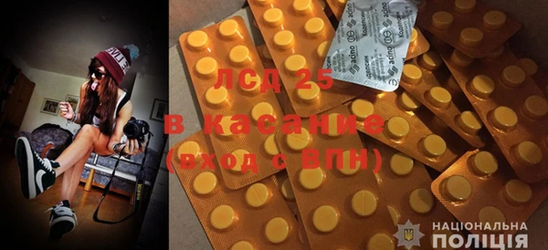 крисы Щучье