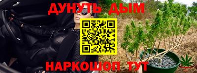 Альфа ПВП Беслан