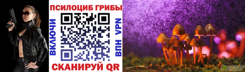 Галлюциногенные грибы Psilocybe  Березники 
