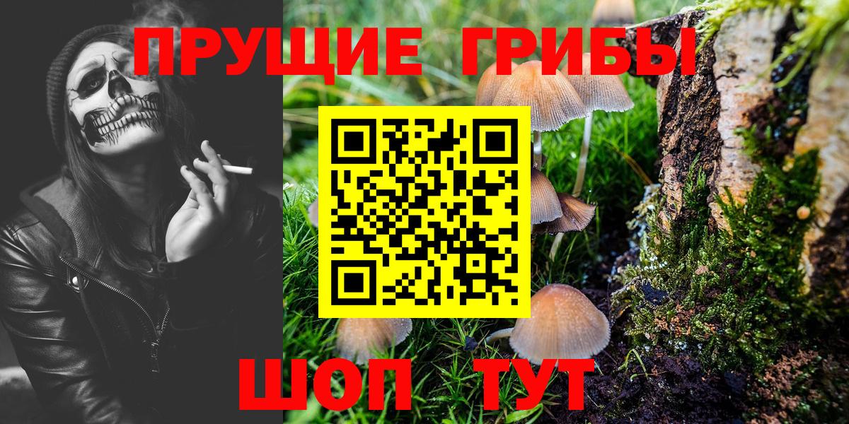 Березники  магазин продажи наркотиков  Вход с VPN  Псилоцибиновые грибы Cubensis 